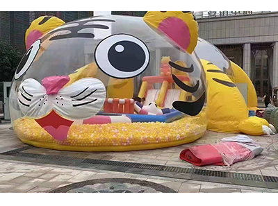 萌虎乐园